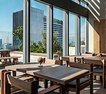 Luxurious 1BR Codo Near Reforma - Pool - Gym