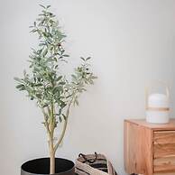 NAX Apartment E by Liiiving