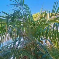 50 AN 2 - Mezarina 2 Apartment