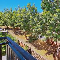 47 PEY - Peyia Kamelia Villa