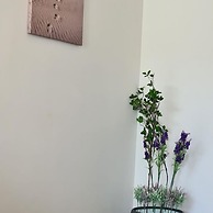 14 AN - 113 Nissi Twins Apartment