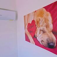 42 PRO - Panorama Apartment