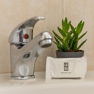 Stay Gold Feathers Apartment