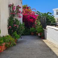 00 HA - HA DE CO C in Ayia Napa