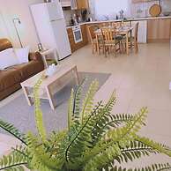 61 VOR - Sunny Palms