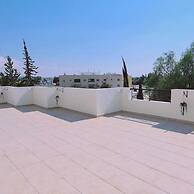 61 VOR - Sunny Palms