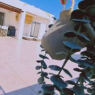 61 VOR - Sunny Palms