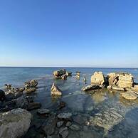 Stay Kapparis Symphony