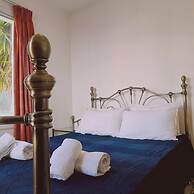 86 AN - Stay Napa Dreams