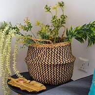 Stay Golden Sands in Paralimni