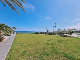 30 PRO - Stay White Coral Studio