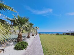 30 PRO - Stay White Coral Studio