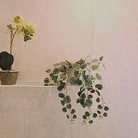 29 LIM - Downtown Retreat