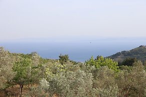 CAPE ASSOS