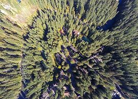 90sw - Fireplace - Dishwasher - W/d - Pets Ok 1 Bedroom Condo by RedAw