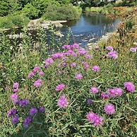 Hornshole Hideaway Caravan Hawick