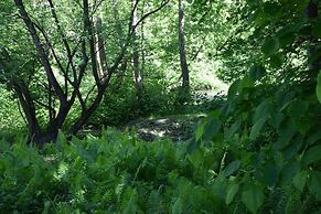 Peyper Fields Creekside Camp