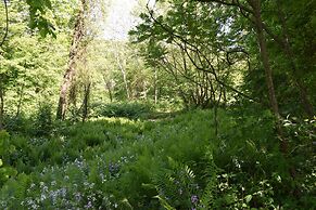 Peyper Fields Creekside Camp