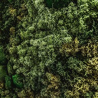 Chalet Amadeus - Designer Luxury Chalet for 14