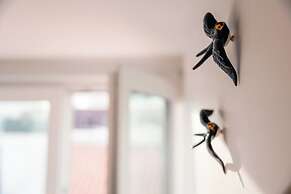 Olivier Design Apartments - Downtown