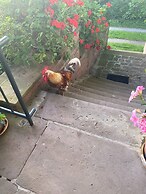 Room-double Room Apple Blossom