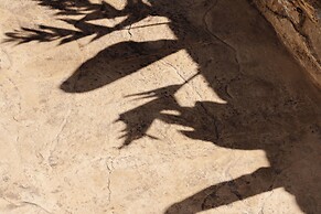 Thalelion Villa Private Pool and Jacuzzi