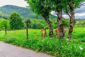 Nel Verde di Rovenza by Wonderful Italy