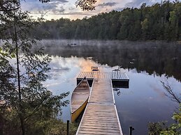 Lièvre Rouge- Refuge en forêt