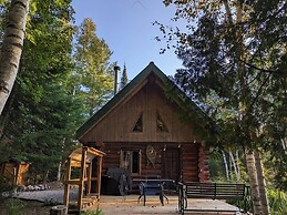 Lièvre Rouge- Refuge en forêt