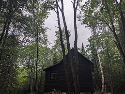 Lièvre Rouge- Refuge en forêt