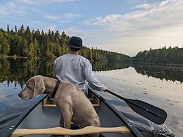 Lièvre Rouge- Refuge en forêt