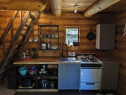 Lièvre Rouge- Refuge en forêt