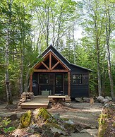 Lièvre Rouge- Refuge en forêt