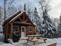 Lièvre Rouge- Refuge en forêt