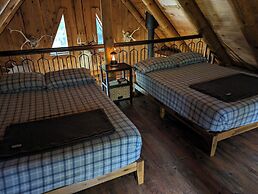 Lièvre Rouge- Refuge en forêt