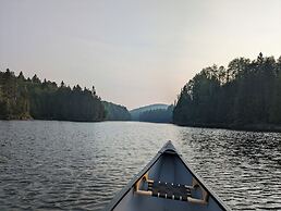 Lièvre Rouge- Refuge en forêt