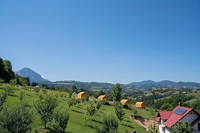 My Little Village