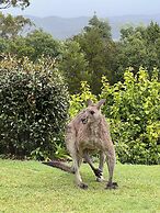 Ninderry Manor- Magical Sunshine Coast Escape