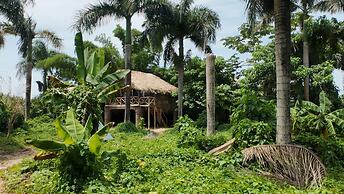 Dominican Jungle Resort