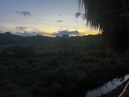 Dominican Jungle Resort