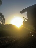 Dominican Jungle Resort