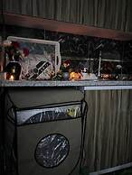 Downtown view studios