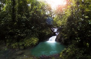 Ostional river