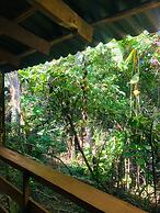 Pousada Praia do Farol