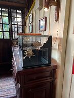 Pousada Praia do Farol