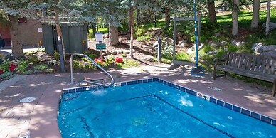 2 Bedroom Condo in Lionshead Village - Walk to Lifts