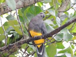 Pousada Coração da Ilha