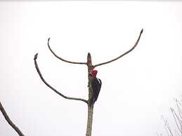 Pousada Coração da Ilha