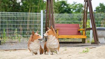 Boryeong Hiddenvillage Dokchae Poolvilla