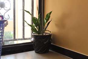 Hidden Gems Studio Apartments